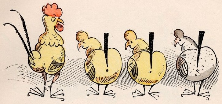 [Illustration: Drei Hühner und ein Hahn]